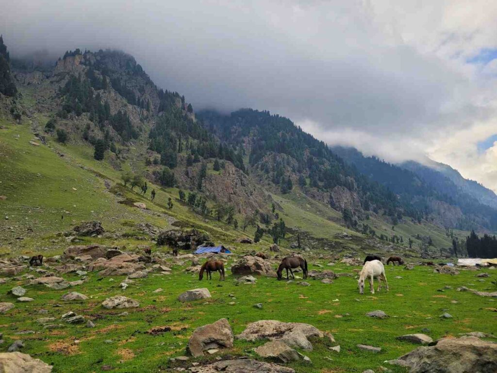 Kashmir Great Lakes Trek Complete Guide